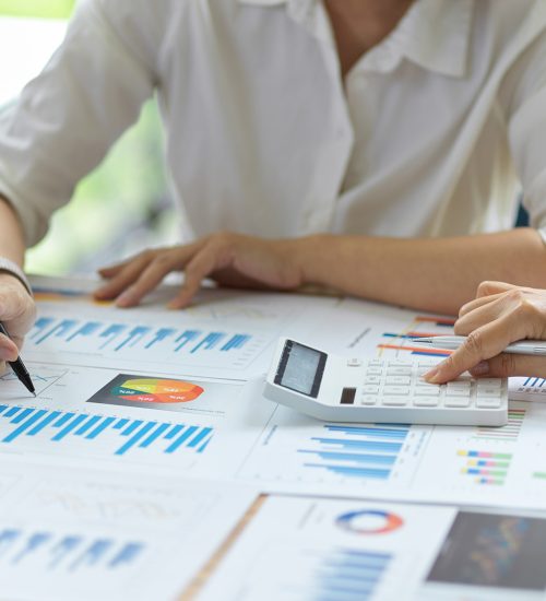 Woman Looking At Charts